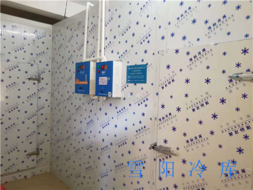 楚雄保鮮冷庫可以放肉類食品嗎