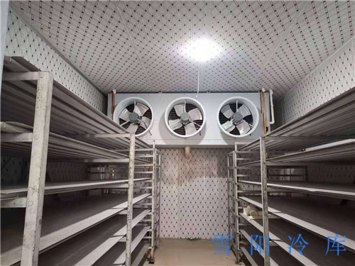 楚雄速凍庫的日常維保有哪些