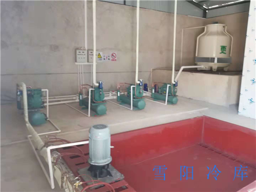 云南制冰池在食品行業(yè)發(fā)揮了什么作用