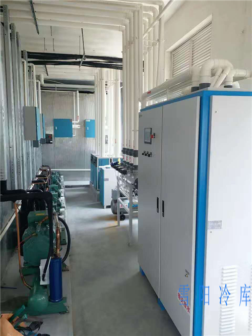 云南氣調冷庫為何成為現(xiàn)代農業(yè)的必備基礎設施